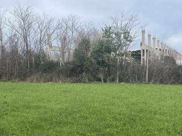 Immobile Procedura 46 2023