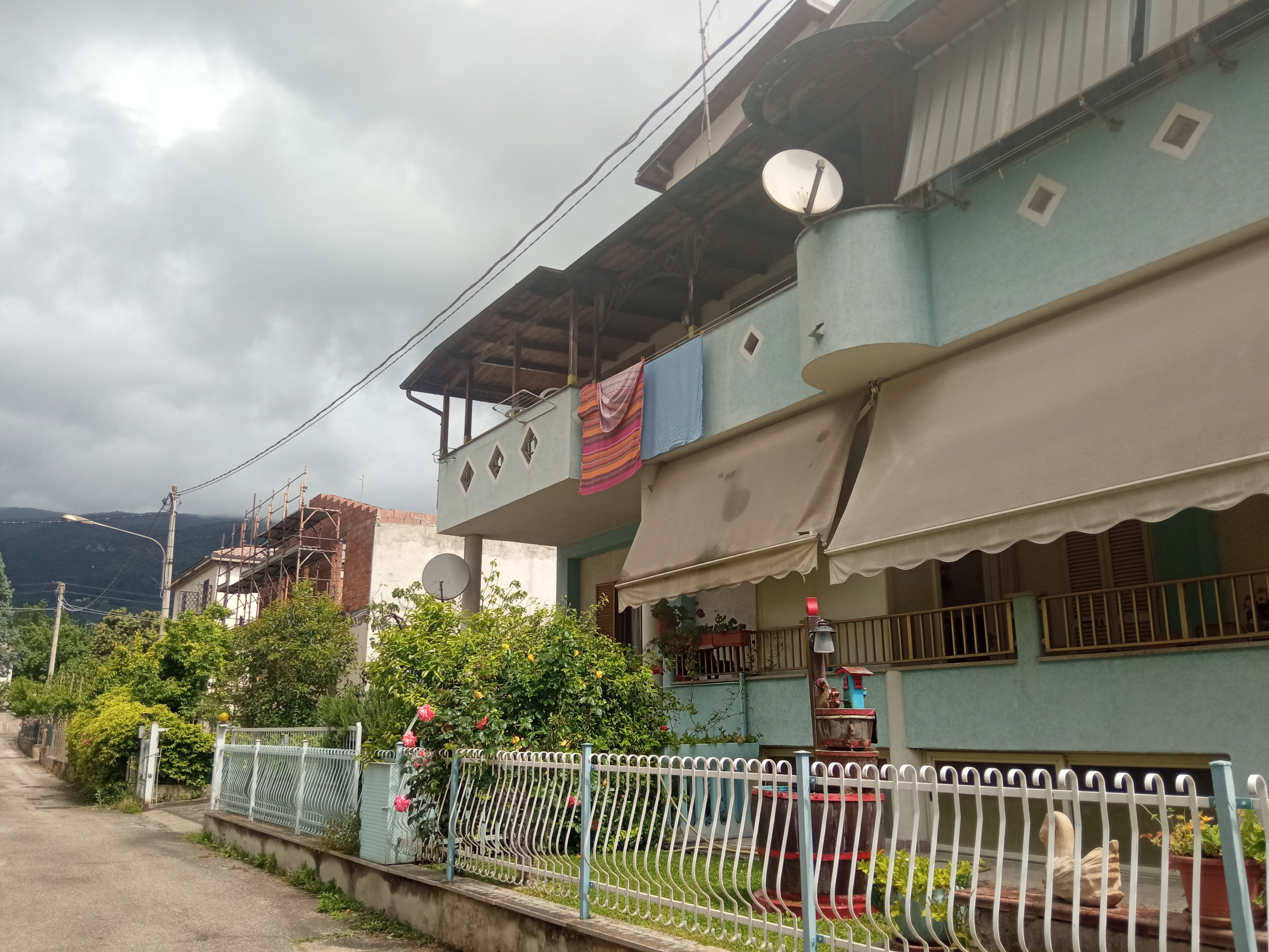 Immobile Procedura 16 2024