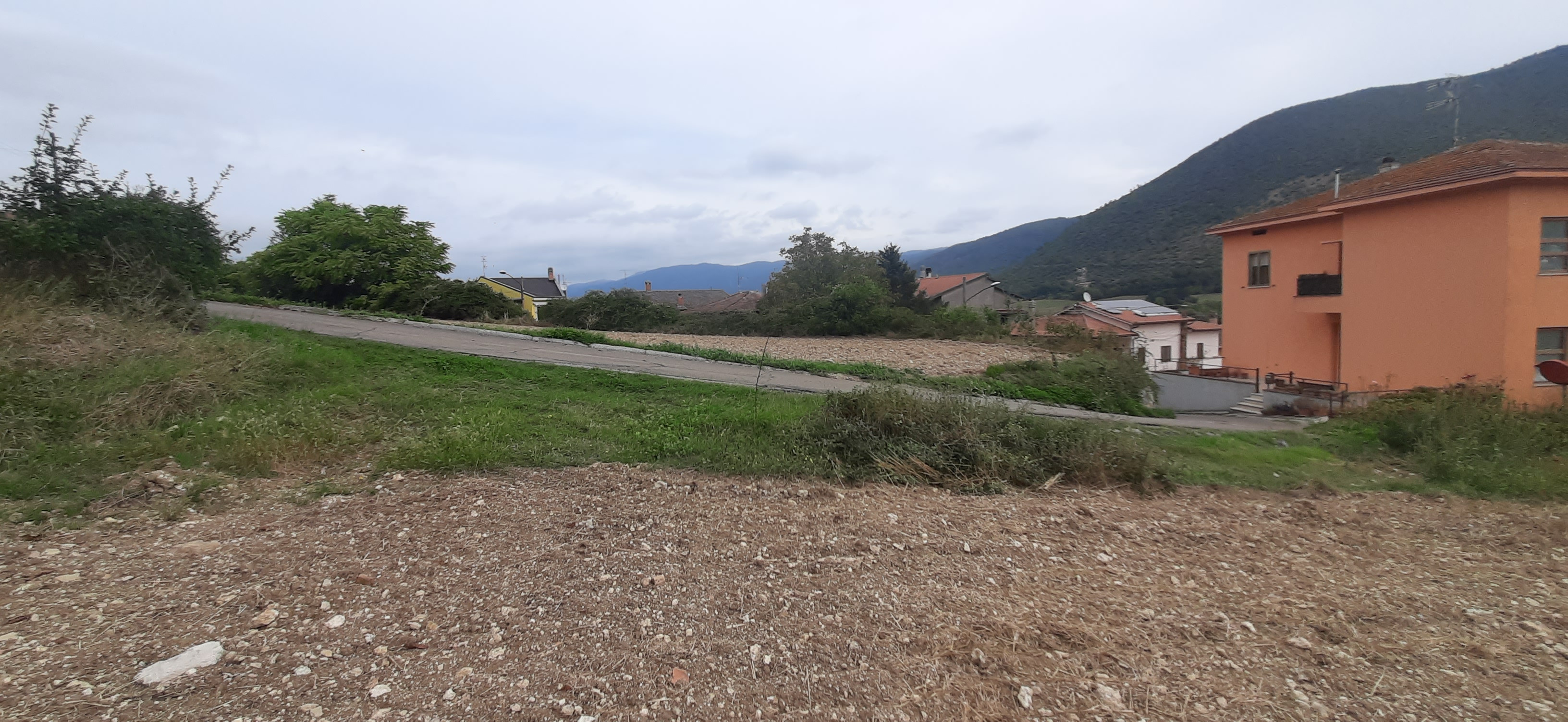 Immobile Procedura 117 2022