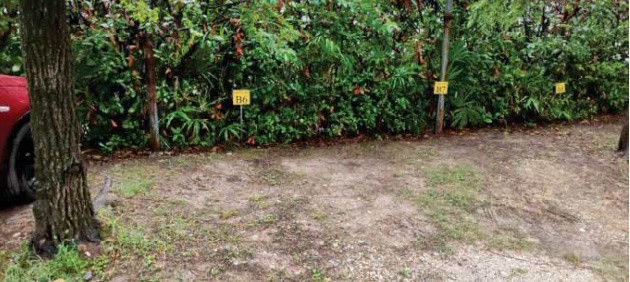 Immobile Procedura 302 2024