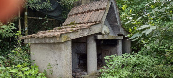 Immobile Procedura 148 2023