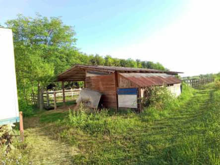 Immobile Procedura 80 2023