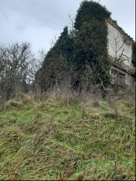 Immobile Procedura 108 2024