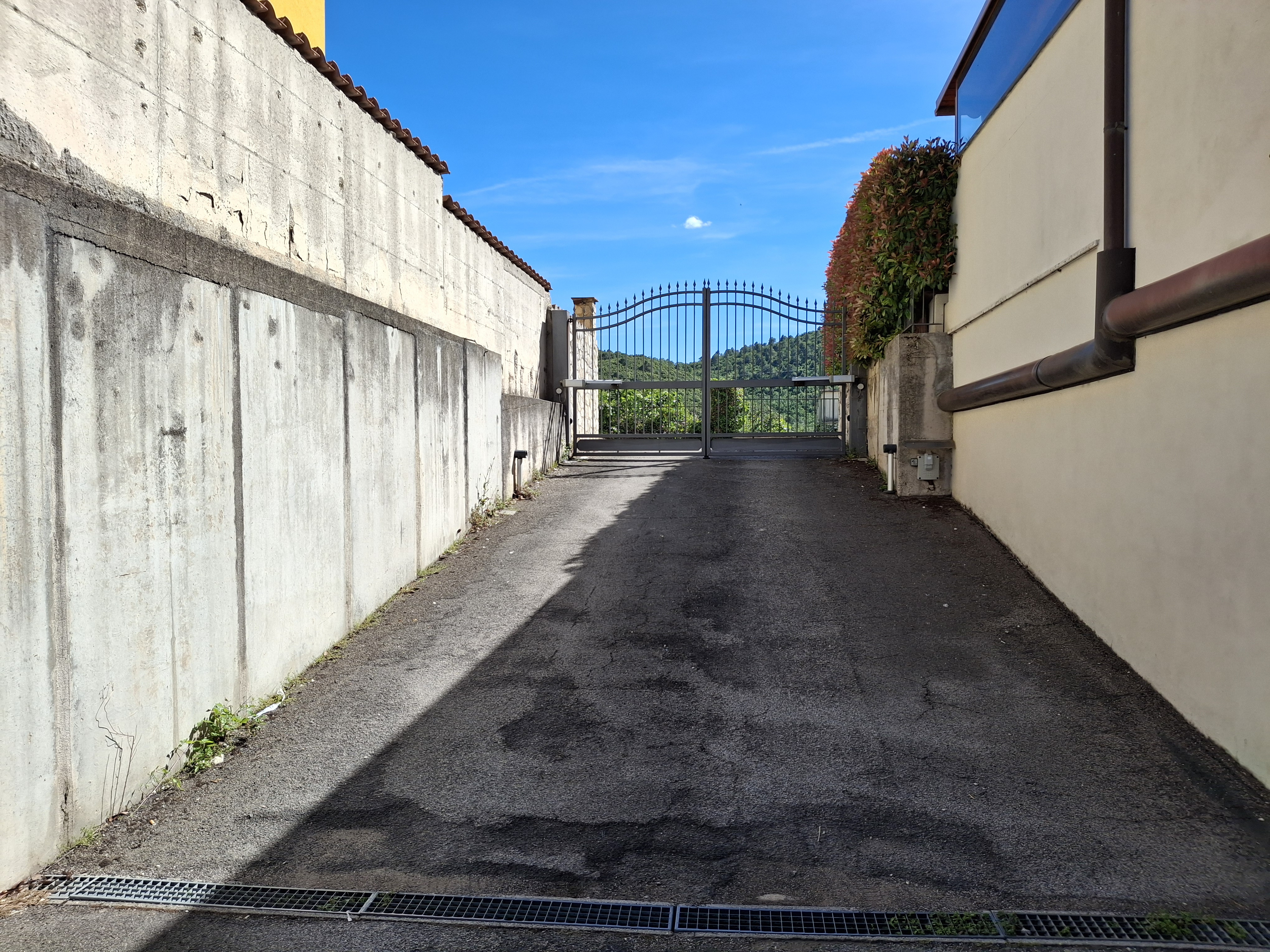 Immobile Procedura 1 2025