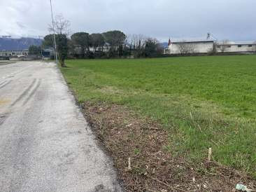 Immobile Procedura 46 2023