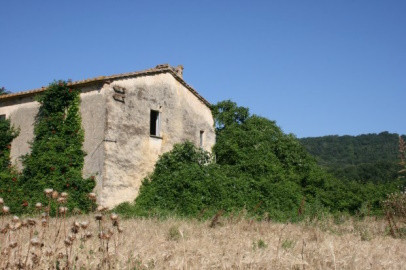 Fabbricati per attività agricole Procedura 143 2023