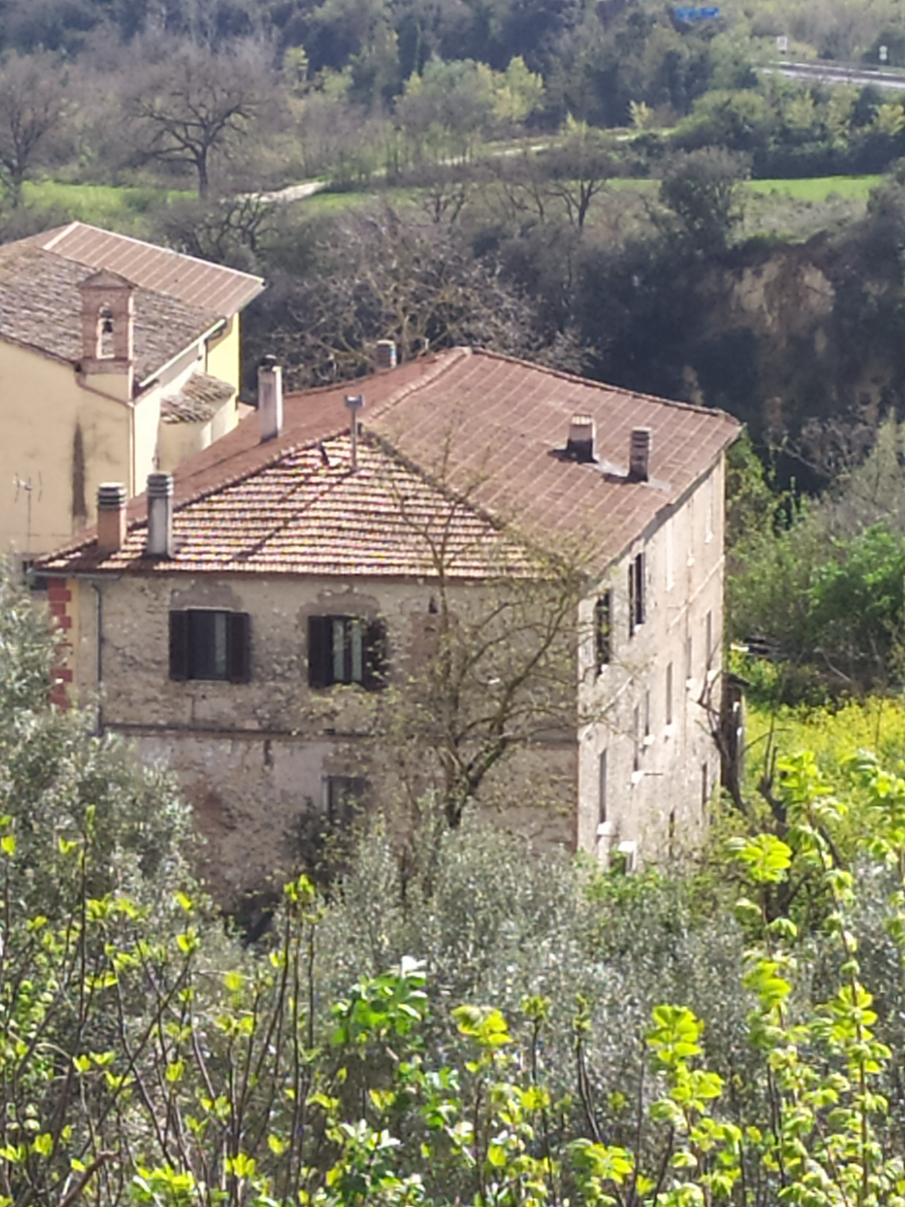 Abitazione di tipo economico Procedura 96 2024