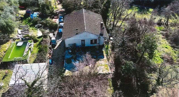 Immobile Procedura 55 2024