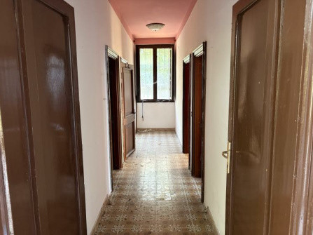 Immobile Procedura 29 2024