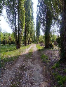 Immobile Procedura 385 2018