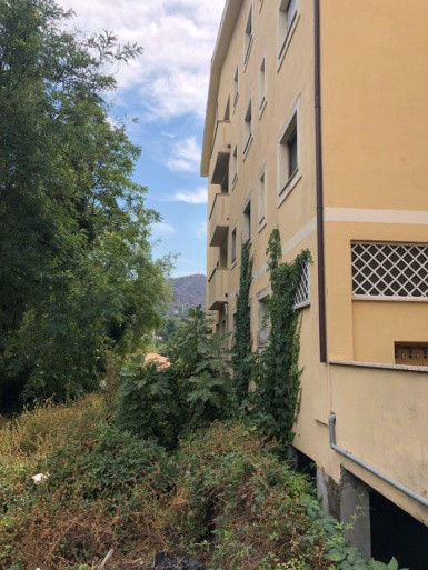 Immobile Procedura 1 2021