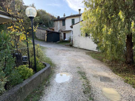 Immobile Procedura 19 2025