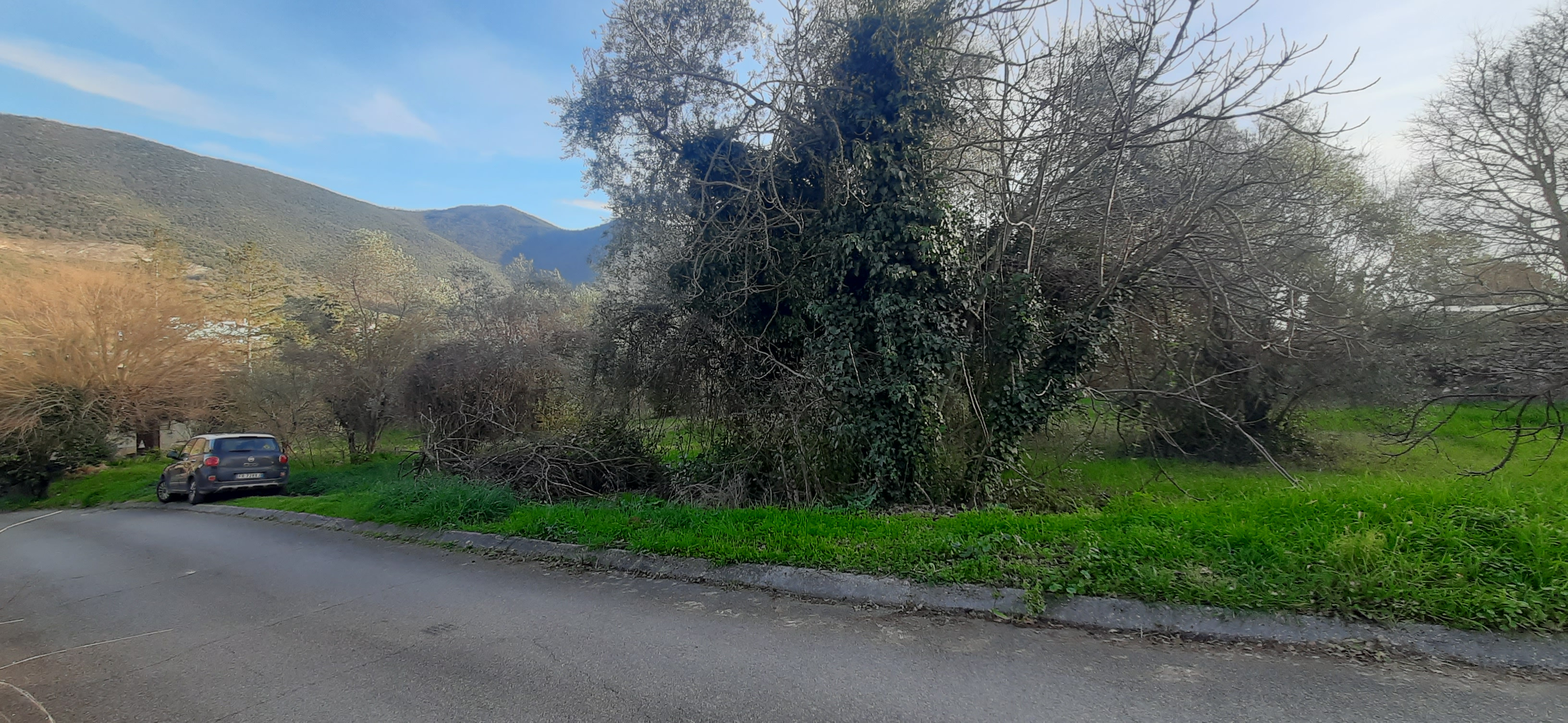 Lotto edificabile Procedura 117 2022