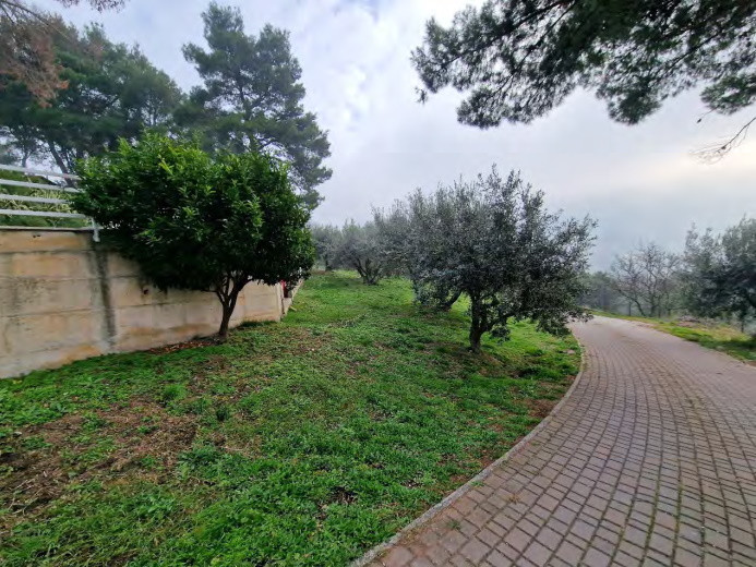 Abitazione in villini Procedura 92 2022