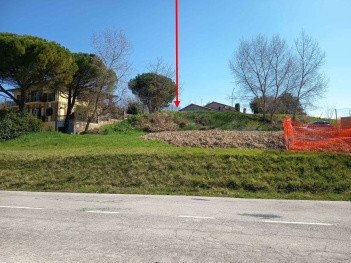 Immobile Procedura 97 2025