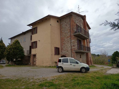Immobile Procedura 97 2025