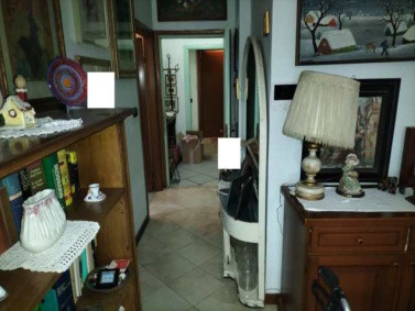 Immobile Procedura 46 2025