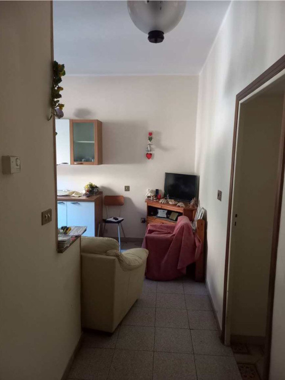 Immobile Procedura 91 2025