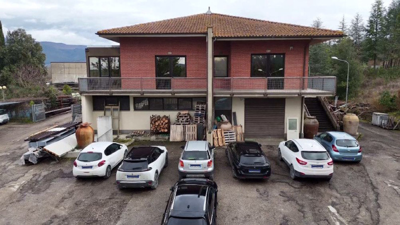Immobile Procedura 111 2025